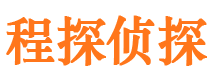 雁峰市私家侦探